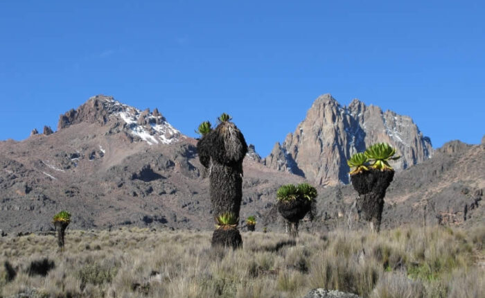 Mount Kenya Trekking